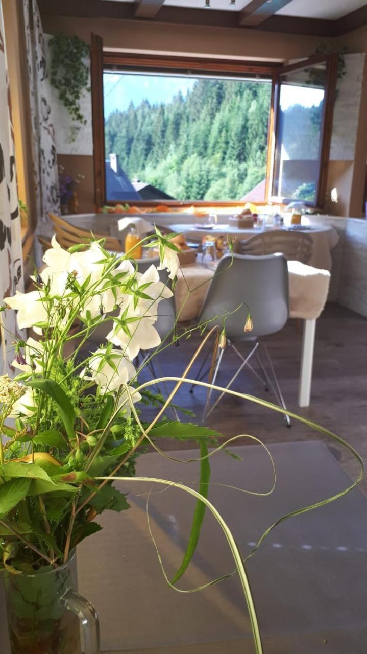 Bed and Breakfast Haus Sieben - Singer Lydia à Kotschach-Mauthen Extérieur photo